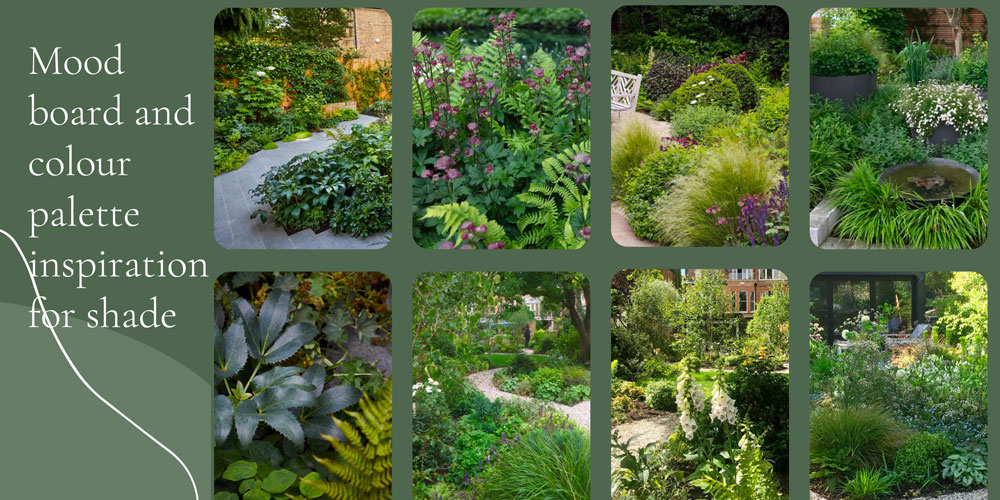 comprehensive garden design service